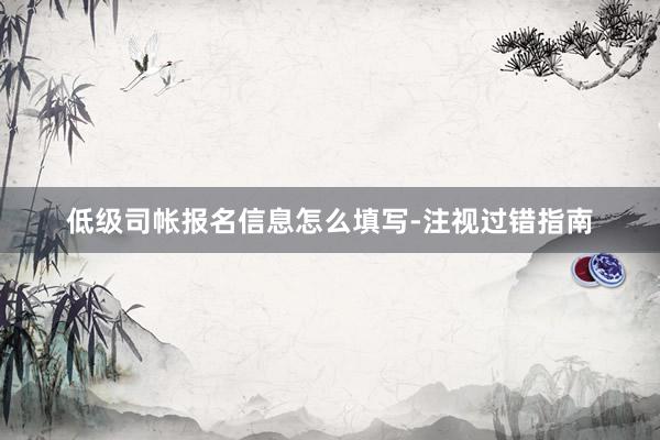 低级司帐报名信息怎么填写-注视过错指南